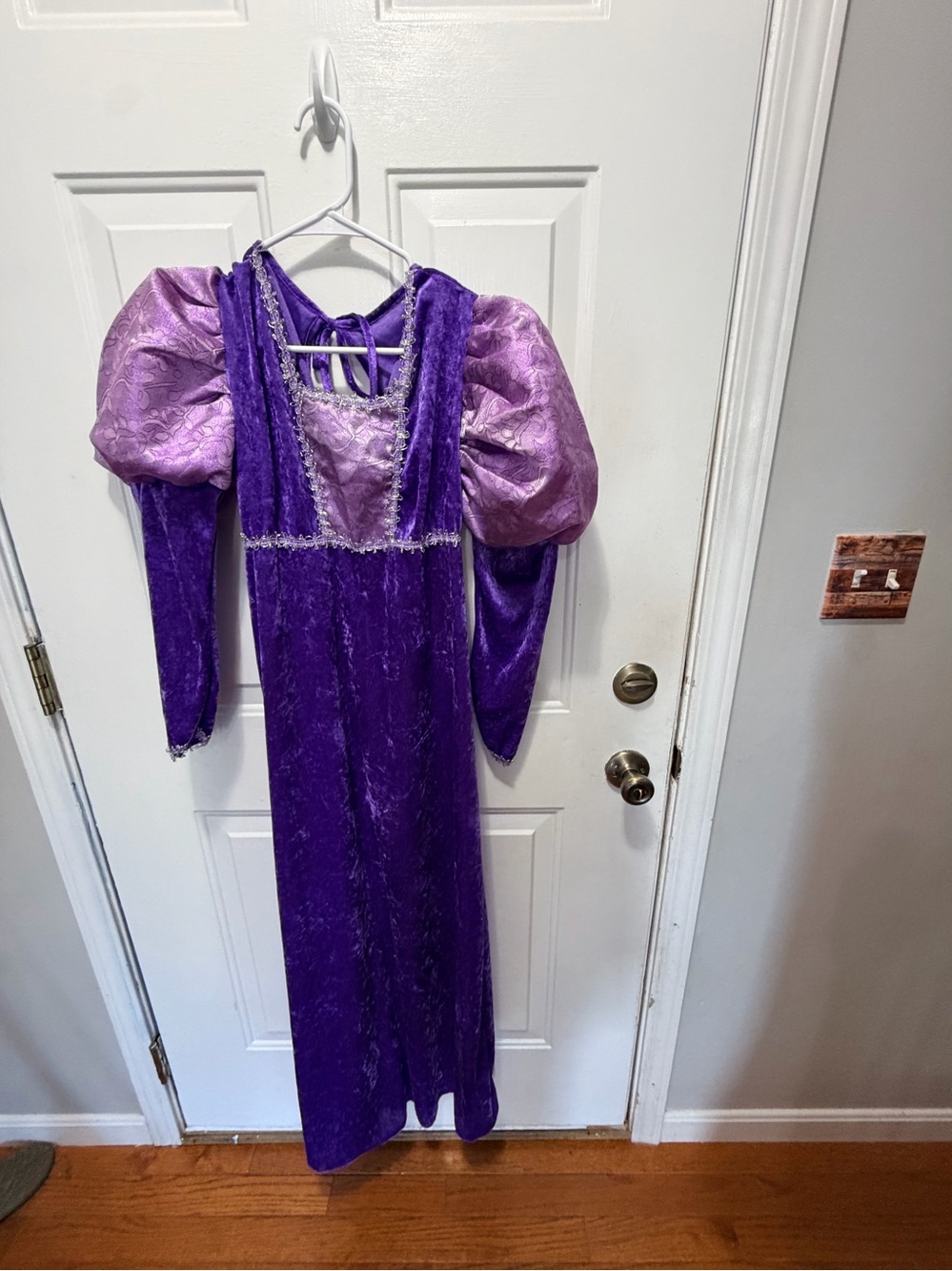 Royal Purple Princess / Renaissance Gown